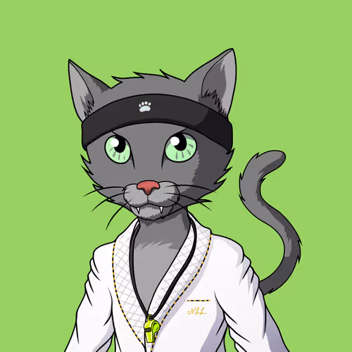 Mastercatsnft