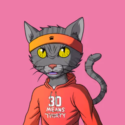 Master Cats #1064