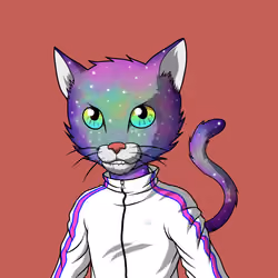 Master Cats #2559