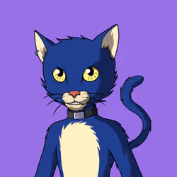 Master Cats #6016