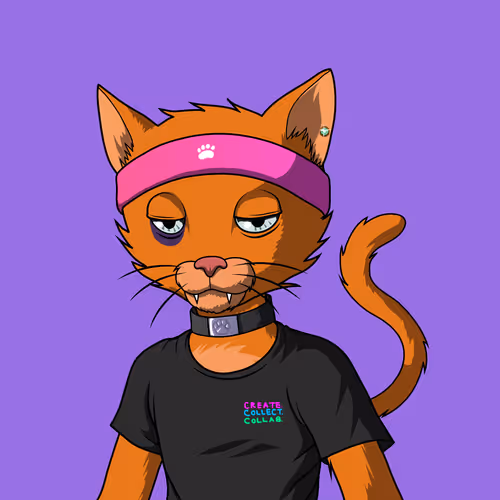 Mastercatsnft
