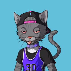 Master Cats #6094