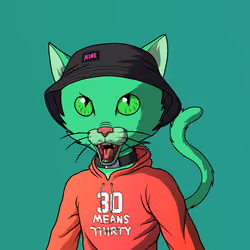 Master Cats #4570