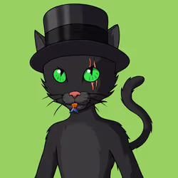 Master Cats #5300