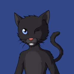 Master Cats #5700