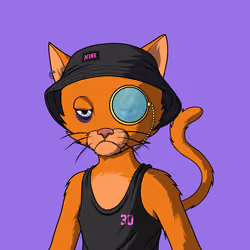 Master Cats #6146