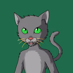 Master Cats #6162