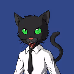 Master Cats #7660
