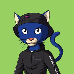 Master Cats #3123