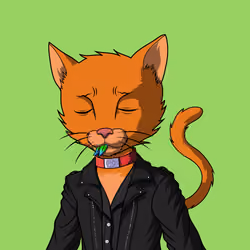 Master Cats #5905