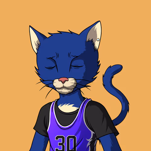 Mastercatsnft