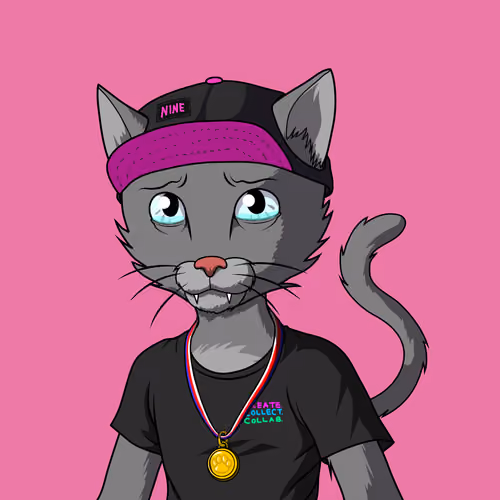 Master Cats #1054