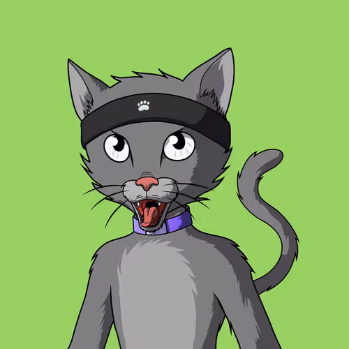 Master Cats #6895