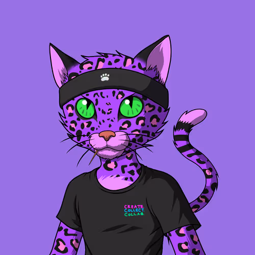 Mastercatsnft