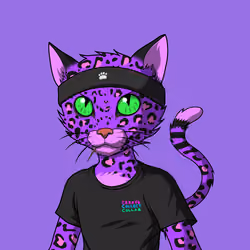 Master Cats #7074