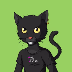 Master Cats #3015