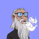 Wizard #8016