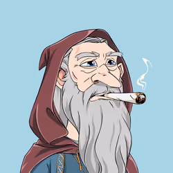 Wizard #8383