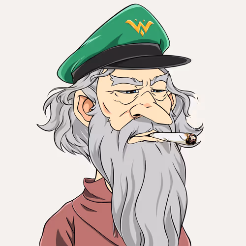 Wizardsofthetowershade