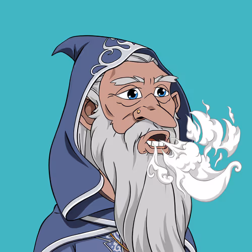 Wizardsofthetowershade