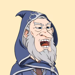 Wizard #3040