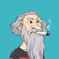 Wizard #889