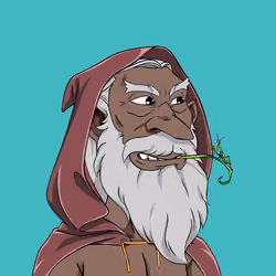 Wizard #8921