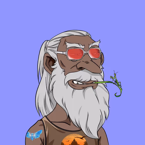 Wizard #2707
