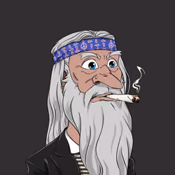 Wizard #8536