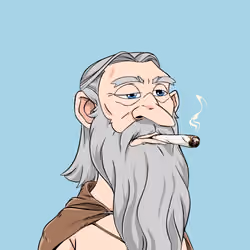 Wizard #4293