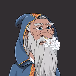 Wizard #5799