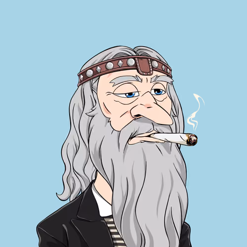Wizard #4816