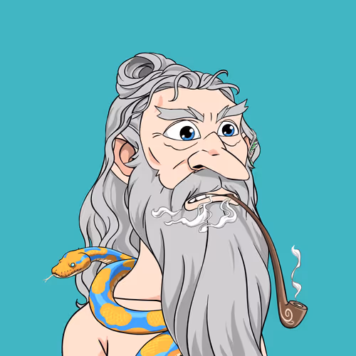 Wizardsofthetowershade