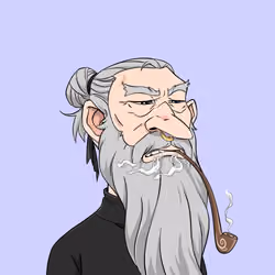 Wizard #7233