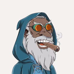 Wizard #9172