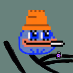 CTMF #219