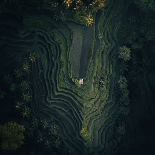 COLOURWRKS OPEN EDITIONS