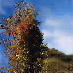 test 1 (v2)