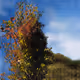 This is a test 1