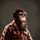 Jeff-9366