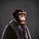theapesocieties