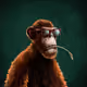 Rigby Cortes