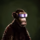 6081