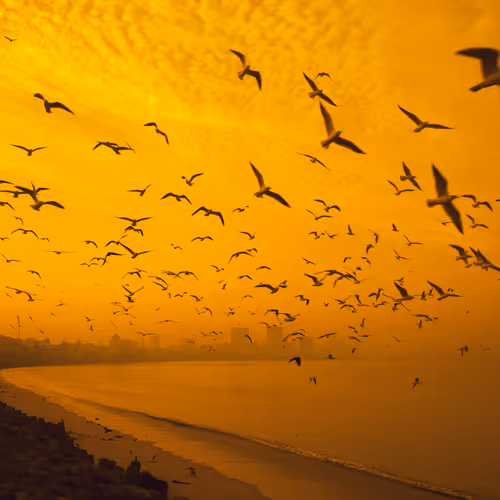Photography by Subhrojit Dey