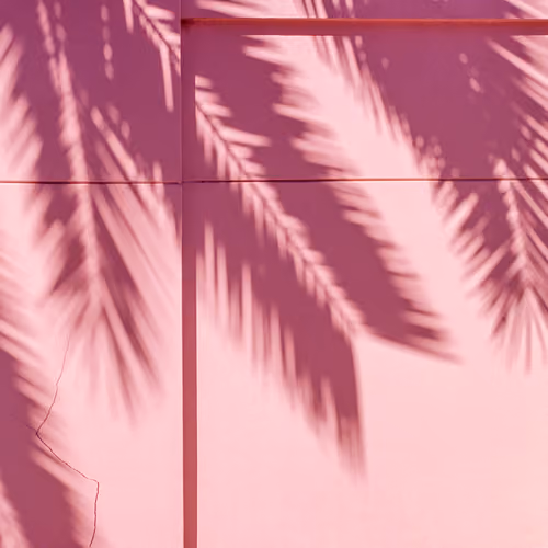 Pink No. 3