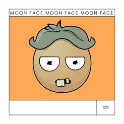 moonface.io #1221