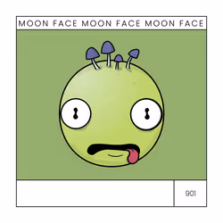 moonface.io #901