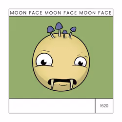 moonface.io #1620