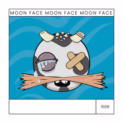 moonface.io #1558