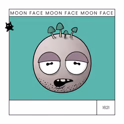 moonface.io #1621